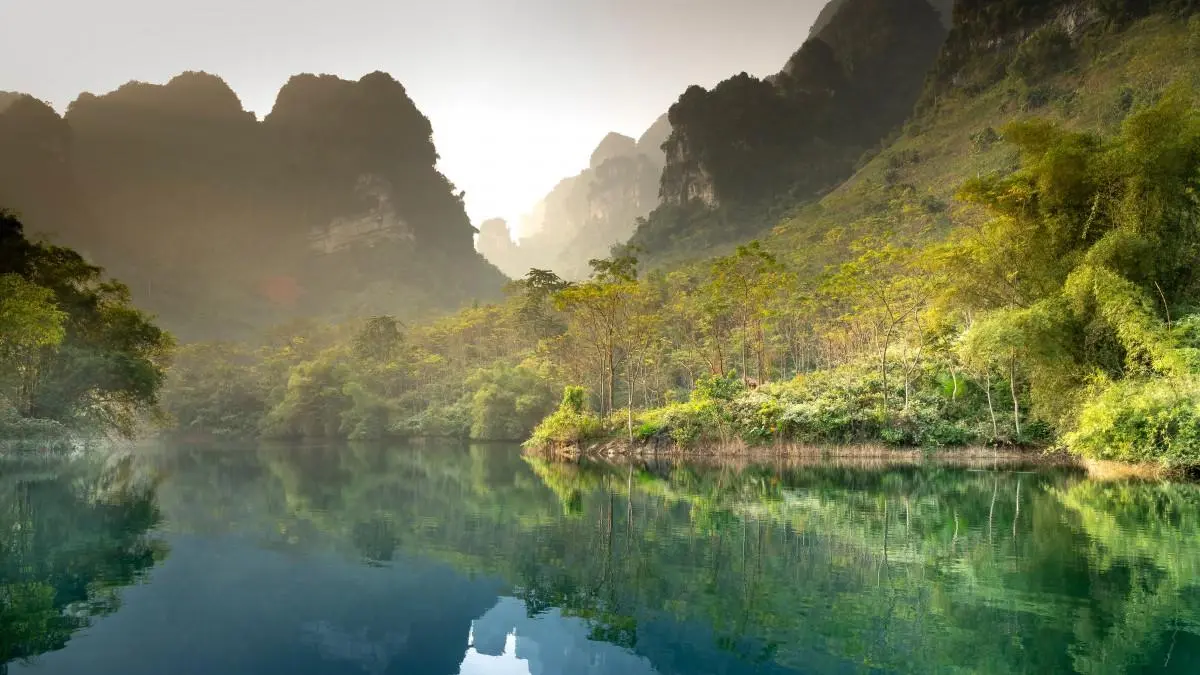 智能系统独特高质量